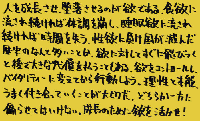 統合失調症-薬-その3_独り言-05