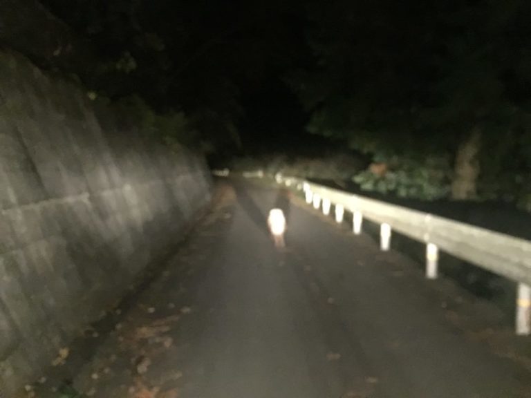 四国歩き遍路日記30日目-46