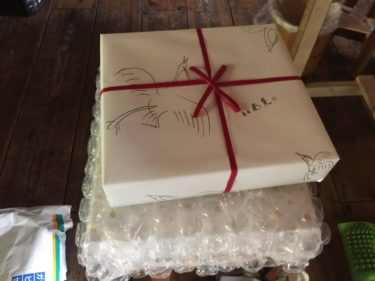 四国歩き遍路日記45日目：白鷺宝と彩果の宝石が徳島にやって来たぞー