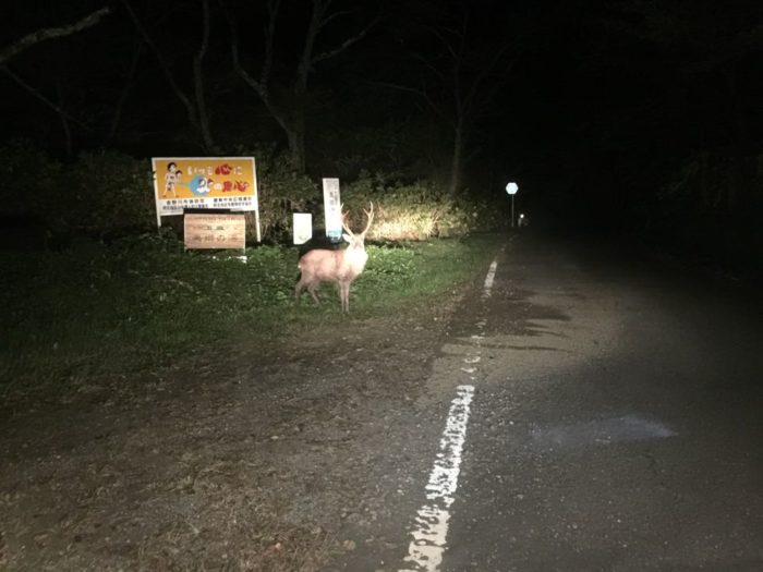 四国歩き遍路日記21日目-41