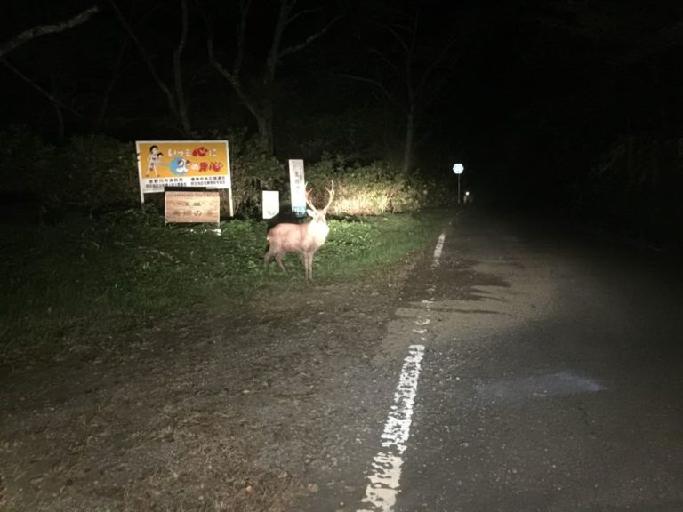四国歩き遍路日記21日目-41