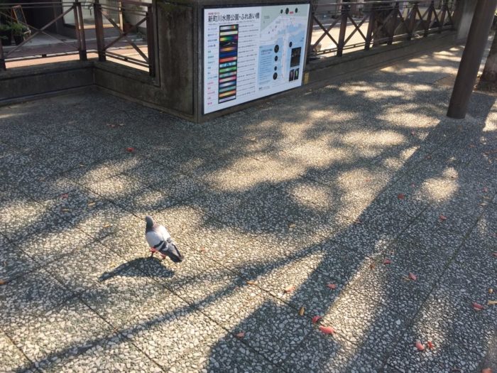 四国歩き遍路日記32日目-16