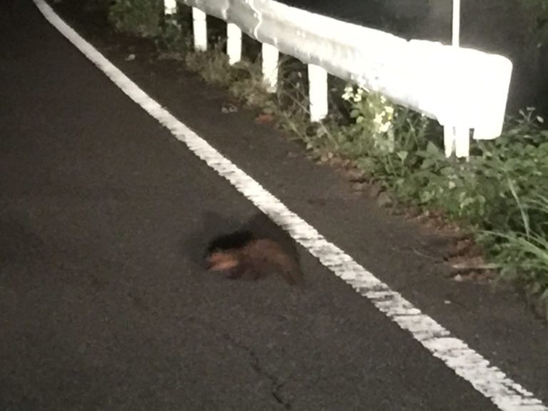 四国歩き遍路日記23日目-29