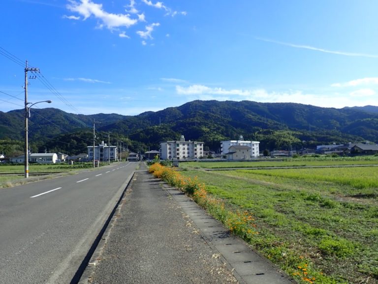 四国歩き遍路日記02日目-55