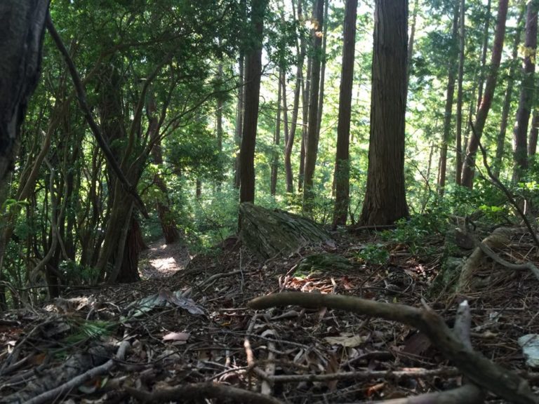 四国歩き遍路日記08日目-10