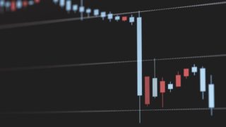 SBIFXを始めてみた!統合失調症が一人前に暮らしていくまでに…