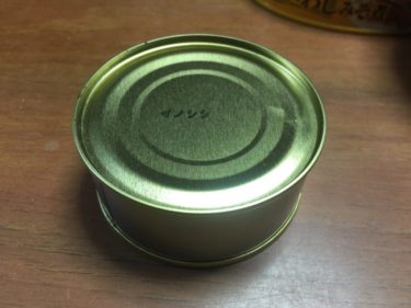 四国歩き遍路日記46日目徳島編：イノシシを初めて食べたその後で…