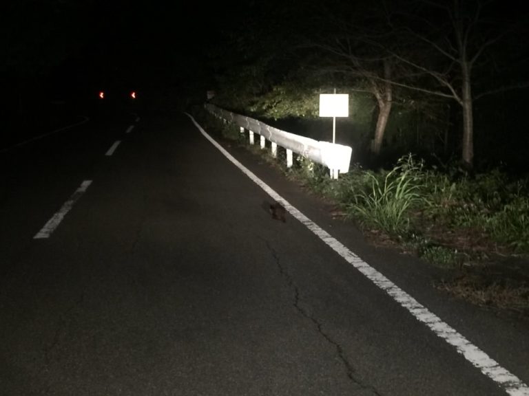 四国歩き遍路日記23日目-28