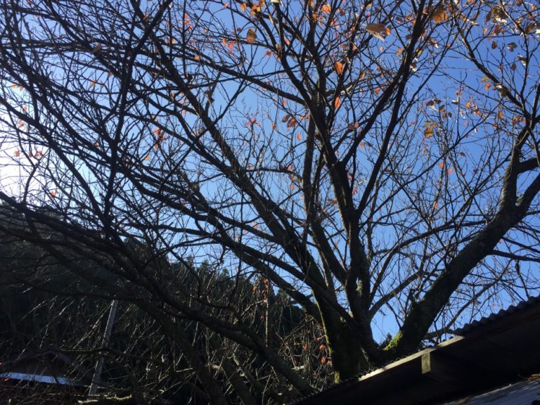四国歩き遍路日記39日目-14