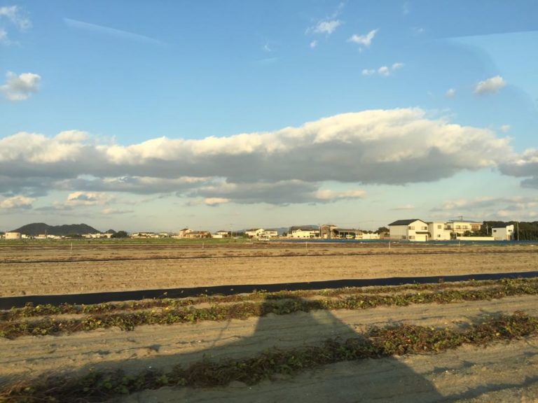 四国歩き遍路日記45日目-24