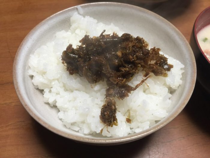 四国歩き遍路日記25日目-02
