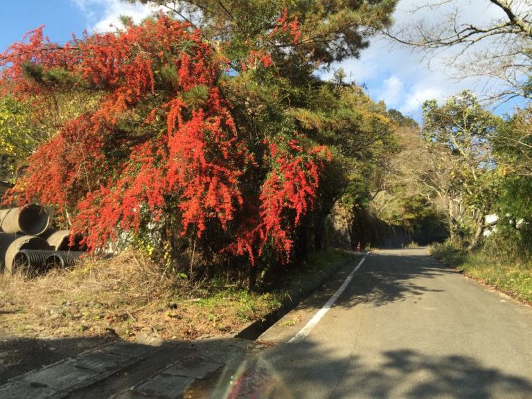 四国歩き遍路日記45日目-21