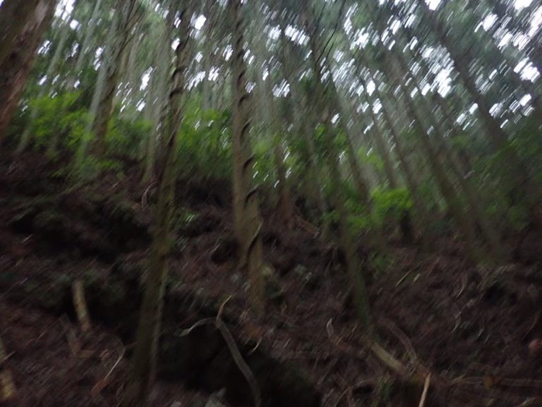 四国歩き遍路日記33日目-07