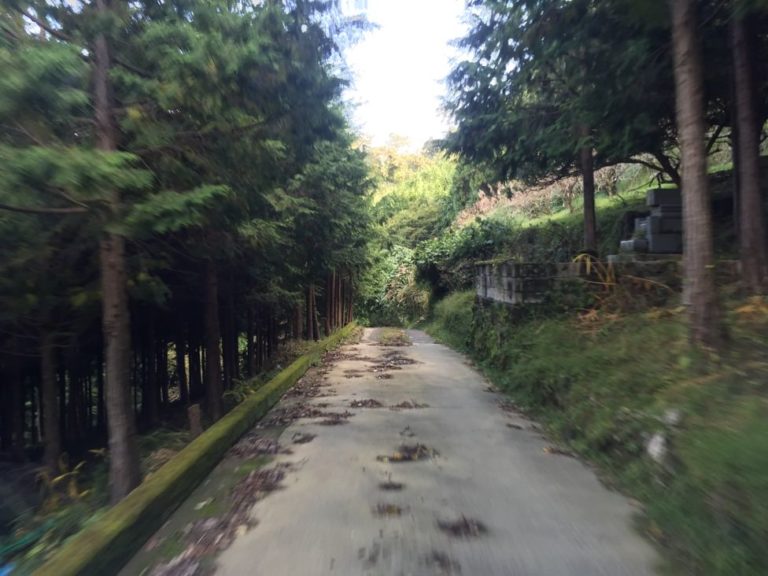 四国歩き遍路日記21日目-10