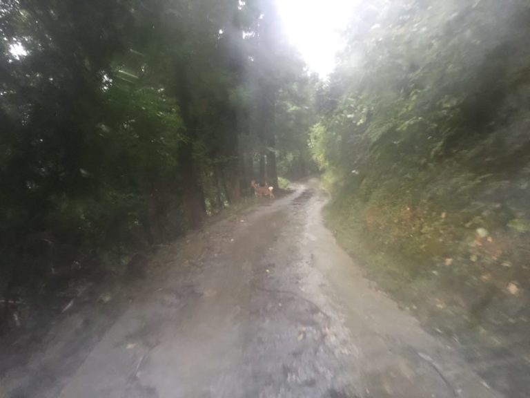 四国歩き遍路日記14日目-08