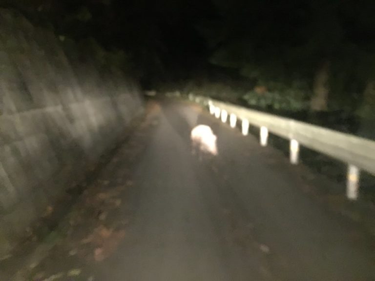 四国歩き遍路日記30日目-45
