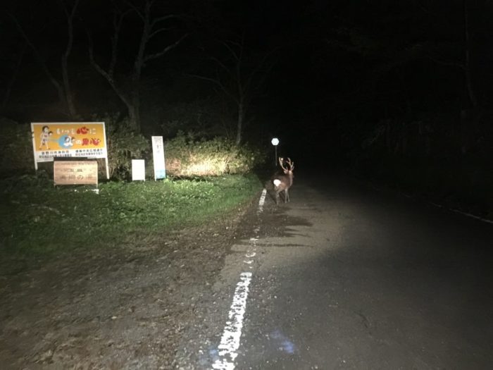 四国歩き遍路日記21日目-42