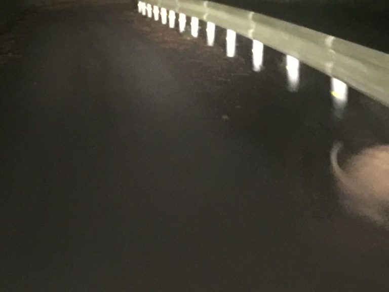 四国歩き遍路日記30日目-51