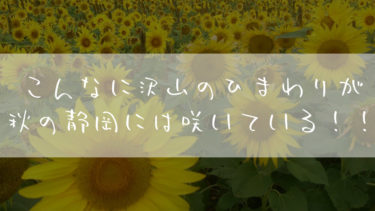旅ブログ：自転車で西日本一周！ロードバイクで引きこもり脱出32