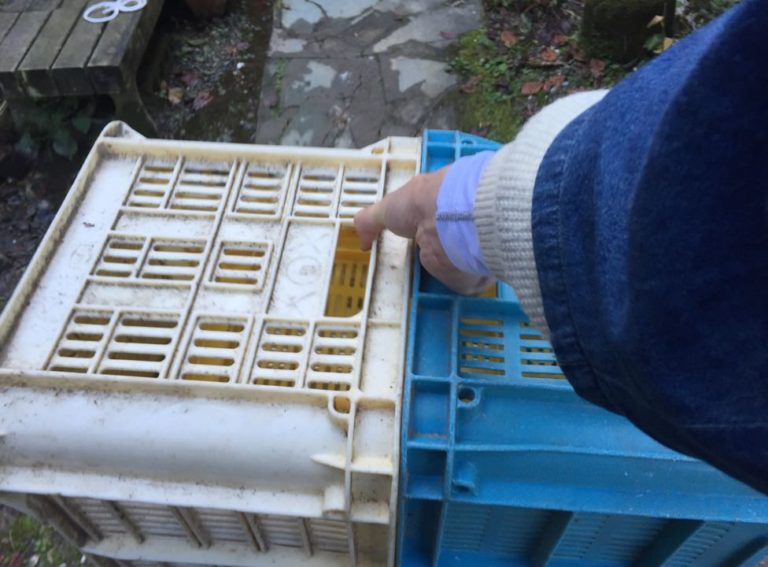四国歩き遍路日記39日目-09