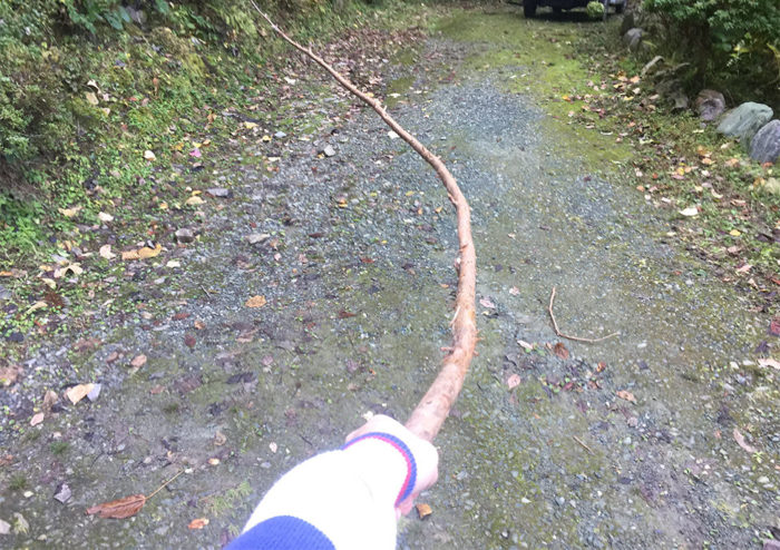 四国歩き遍路日記35日目-04
