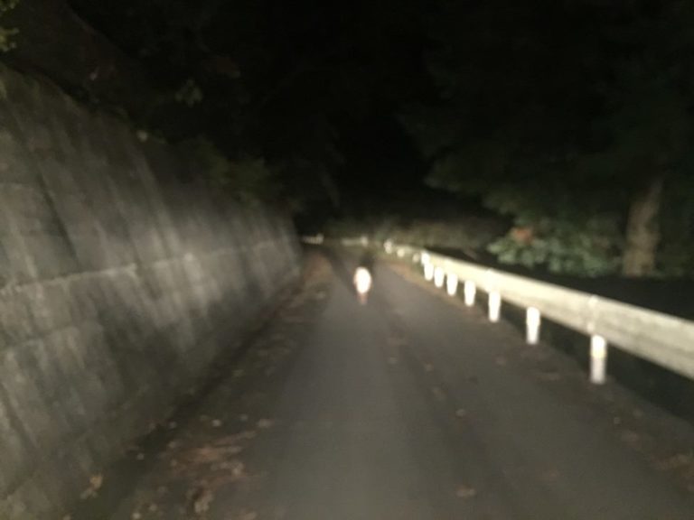 四国歩き遍路日記30日目-47