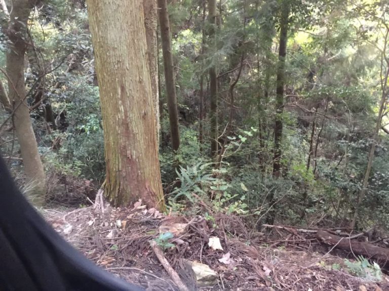 四国歩き遍路日記38日目-16