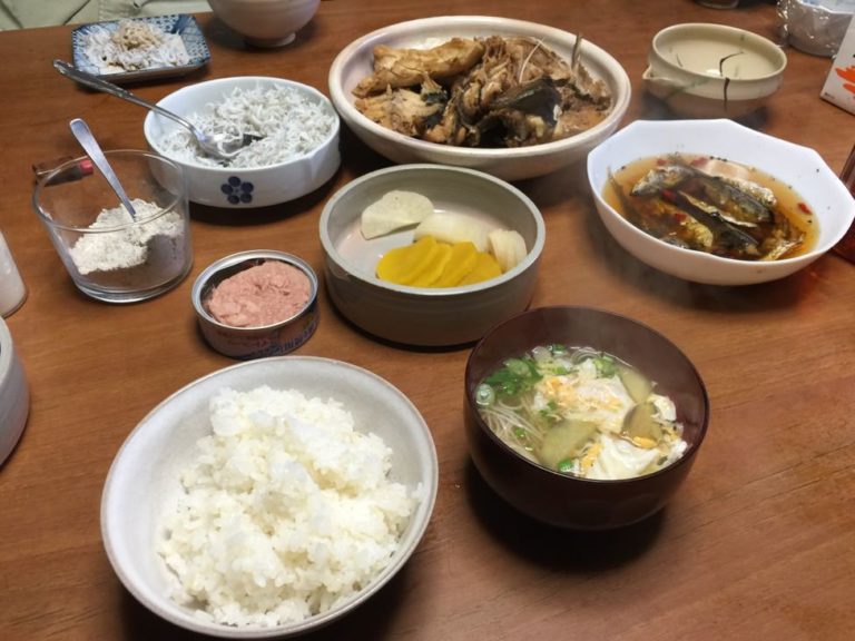 四国歩き遍路日記42日目-06a