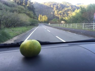 四国歩き遍路日記23日目：たき火とユコウでテンを綴る稼ぐブログ講座