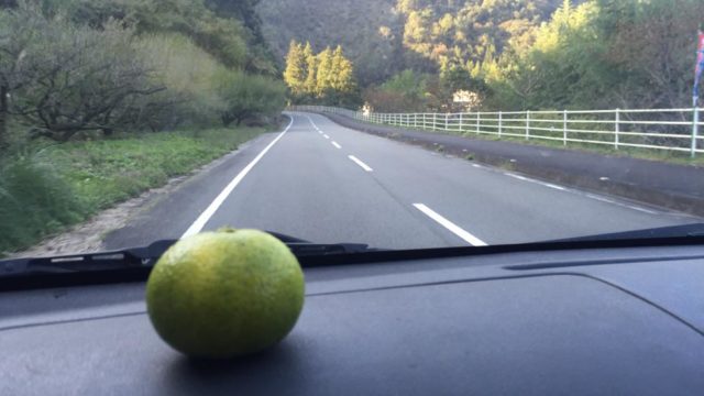 四国歩き遍路日記23日目-15