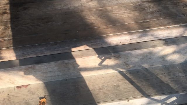 四国歩き遍路日記31日目-08