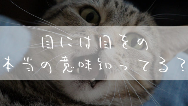 目には目を