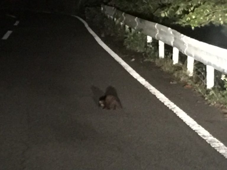 四国歩き遍路日記23日目-30