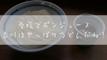 旅ブログ：自転車で西日本一周！ロードバイクで引きこもり脱出26